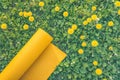 Healthy sport lifestyle background with yellow yoga mat on grass with dandelions with copy sspace Royalty Free Stock Photo