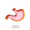 Healthy Stomach. Human organ symbol in paper cut style. Digestive system anatomy on white background.