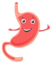 Healthy stomach mascot. Happy cartoon human organ