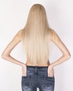 Healthy straight platinum blonde hair. Look from the back.