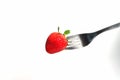 Healthy Strawberry impale with stanley fork on white isolated background Royalty Free Stock Photo