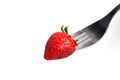 Healthy Strawberry impale with stanley fork on white isolated background Royalty Free Stock Photo