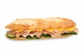 Healthy sub sandwich Royalty Free Stock Photo