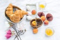 Healthy summer picnic laid out on white cloth on green grass with croissants, fresh fruit, juice and marshmallows