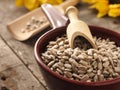 Healthy sunflower seeds Royalty Free Stock Photo