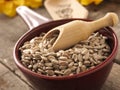 Healthy sunflower seeds Royalty Free Stock Photo