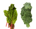 Healthy Swiss Chard and Kale Royalty Free Stock Photo