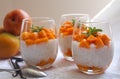 Healthy tapioca pearls pudding dessert with coconut milk and mango Royalty Free Stock Photo