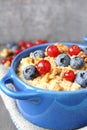 Healthy Tasty Homemade Oatmeal with Berries for Breakfast Royalty Free Stock Photo