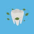 Healthy teeth, fresh breath, mint leaves Royalty Free Stock Photo