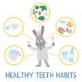 Healthy teeth habits illustration. Cute dentist infographics for kids. Vector funny card template with cute smiling doctor rabbit