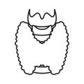 Healthy thyroid gland body organ outline icon Royalty Free Stock Photo