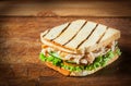 Healthy toasted chicken breast sandwich Royalty Free Stock Photo