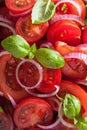 healthy tomato salad with onion basil olive oil and balsamic vinegar