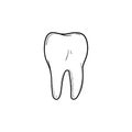 Healthy tooth hand drawn outline doodle icon.