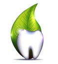 Healthy tooth and leaf