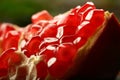 Sweet nutritious pomegranate seeds. Royalty Free Stock Photo