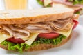 Healthy Turkey, Cheese and Vegetables Sandwich Royalty Free Stock Photo