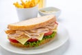 Healthy Turkey, Cheese and Vegetables Sandwich Royalty Free Stock Photo