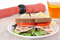 Healthy turkey sandwich on whole wheat bread. Royalty Free Stock Photo