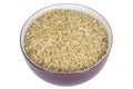 Healthy Uncooked Brown Rice Royalty Free Stock Photo