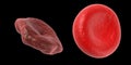 healthy and unhealthy blood cell