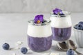 Healthy vegan breakfast of blueberry chia pudding with fresh berries, coconut yogurt and edible flowers in glasses