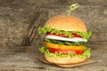 Healthy vegan burger with raw vegetables Royalty Free Stock Photo