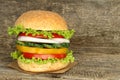 Healthy vegan burger with raw vegetables Royalty Free Stock Photo