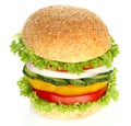 Healthy vegan burger with raw vegetables Royalty Free Stock Photo