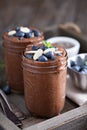 Healthy vegan chocolate chia pudding