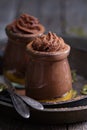 Healthy vegan chocolate pumpkin pudding