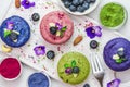 Healthy vegan desserts. assortment of raw cashew cakes with matcha, acai, blueberry, mint, nuts and flowers