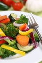 Healthy vegan eating vegetables food on plate