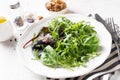 Healthy vegan green salad mix on plate Royalty Free Stock Photo