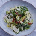 Healthy vegan lunch bowl.avocado, roket leaves, romain lettuce, tomato, cucumber and onion vegetable salad