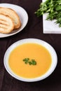 Healthy Vegetable Cream Soup in a bowl with toast grill Royalty Free Stock Photo