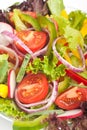 Healthy vegetable salad close-up