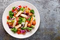 Healthy vegetable salad with grilled chicken breast, fresh lettuce, cherry tomatoes, red onion and pepper Royalty Free Stock Photo