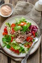 Healthy vegetable salad with lettuce, tomatoes and canned tuna Royalty Free Stock Photo