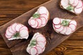 Healthy vegetable toasts sandwith with radish and dill