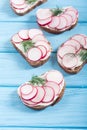 Healthy vegetable toasts sandwith with radish and dill