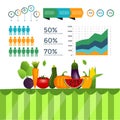 Healthy vegetables infographics with chart and graph