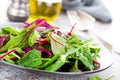 Healthy vegetarian dish, leafy salad with fresh chard, arugula, spinach and lettuce. Italian mix Royalty Free Stock Photo