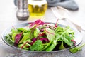 Healthy vegetarian dish, leafy salad with fresh chard, arugula, spinach and lettuce. Italian mix Royalty Free Stock Photo