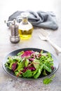 Healthy vegetarian dish, leafy salad with fresh chard, arugula, spinach and lettuce. Italian mix Royalty Free Stock Photo