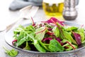 Healthy vegetarian dish, leafy salad with fresh chard, arugula, spinach and lettuce. Italian mix