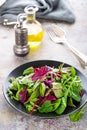 Healthy vegetarian dish, leafy salad with fresh chard, arugula, spinach and lettuce. Italian mix Royalty Free Stock Photo