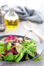 Healthy vegetarian dish, leafy salad with fresh chard, arugula, spinach and lettuce. Italian mix Royalty Free Stock Photo