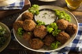 Healthy Vegetarian Falafel Balls